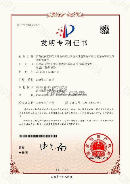 Invention patent certificate